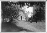 View Of Farmhouse Shed Through Trees by George French