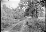 Country Road Parsonsfield, Me by George French
