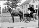 Man With A Horse And Buggy by George French