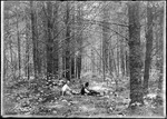 Two Men Sitting In The Forest by George French