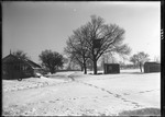 Snow Covered Back Yard With Greenhouse, Tree House & Shed by George French