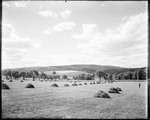 Hay Field At 'mendham' Farm by George French