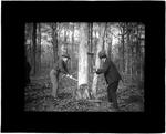 Two Men Chopping Down A Tree by George W. French