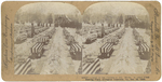 Burial of the victims of the "Maine"