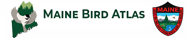 Maine Bird Atlas