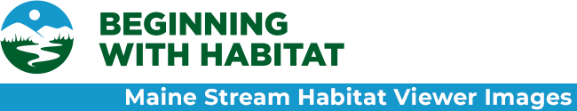 Maine Stream Habitat Viewer Image Collection