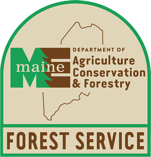Forest Service Documents