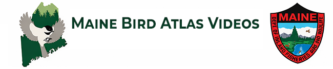 Maine Bird Atlas Videos