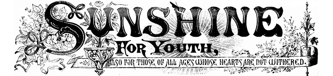 Sunshine For Youth, Also for Those of all Ages Whose Hearts are not Withered (Newspaper)