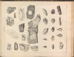 Limestone with Fossil Shells' Impression. Head of the Thoroughfare Lubec Aug. 15 1836 by Charles T. Jackson, Del Graeton, Maine Geological Survey, and Maine Legislature