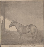 Turf, Farm and Home - 1892