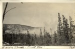 Basin Ponds Forest Fire, 9 August 1923 by David Field