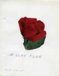 Millay Literary & Church Club 1967-1968