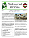 Black-capped Chronicle : Newsletter of the Maine Bird Atlas. Issue 3 (Winter 2018–2019) by Adrienne J. Leppold