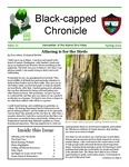 Black-capped Chronicle : Newsletter of the Maine Bird Atlas. Issue 10 (Spring 2022) by Adrienne J. Leppold