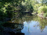 Culvert Crossing, Alwife Brook at Ocean House Rd, Cape Elizabeth, Maine