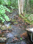 Culvert Crossing, Bubble Brook at Park Loop Rd, Bar Harbor, Maine