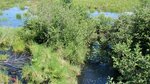 Culvert Crossing, Carlysle Brook at Bancroft Road, Reed Plt, Maine