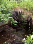Culvert Crossing, Clements Brook at Route 139, Winterport, Maine