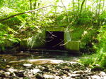 Culvert Crossing, Coffin Brook at Route 5, Lovell, Maine
