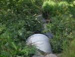 Culvert Crossing, Cold Spings Brook at Dunlap Rd, Gorham, Maine