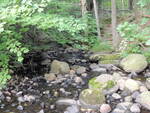 Culvert Crossing, Coubers Brook at Main Street, Wilton, Maine