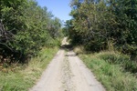 Culvert Crossing, Cove Brook at Beaver Road, Winterport, Maine