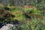 Culvert Crossing, Cove Brook at Beaver Road, Winterport, Maine