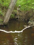 Culvert Crossing, Cromwell Brook at Ledgelawn Ave, Bar Harbor, Maine