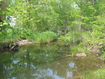 Culvert Crossing, Cromwell Brook at Sieur De Mont Entrance Rd, Bar Harbor, Maine