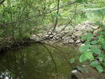 Culvert Crossing, Deering Brook at Patten Farm Rd, Buxton, Maine