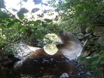 Culvert Crossing, Fahi Brook at Fahi Pond Rd, Anson, Maine