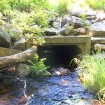 Culvert Crossing, Farnsworth Brook at Route 220, Waldoboro, Maine