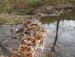 Culvert Crossing, Fields Brook at Middle Rd, Sidney, Maine