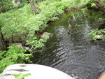 Culvert Crossing, Fight Brook at Lovewells Pd Rd, Fryeburg, Maine