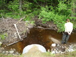 Culvert Crossing, Fight Brook at Menotomy Rd, Fryeburg, Maine