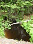 Culvert Crossing, Fight Brook at Route 302, Fryeburg, Maine