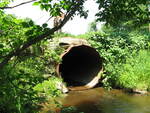 Culvert Crossing, Finn Brook at Benner Rd, Whitefield, Maine
