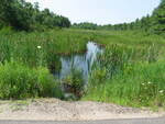 Culvert Crossing, Finn Brook at Howe Rd, Whitefield, Maine