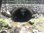 Culvert Crossing, Finn Brook at Vigue Rd, Whitefield, Maine