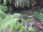 Culvert Crossing, Finn Brook at Vigue Rd, Whitefield, Maine