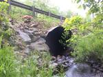 Culvert Crossing, Fish Brook at Route 220, Liberty, Maine
