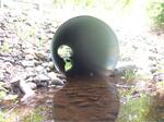 Culvert Crossing, Fish Brook at Route 220, Liberty, Maine
