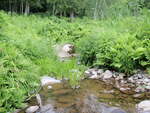 Culvert Crossing, Flanders Brook at Flanders Hill Rd, Sangerville, Maine