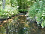 Culvert Crossing, Fogg Brook at Broad Rd, Scarborough, Maine