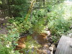 Culvert Crossing, Fogg Brook at Portland Rd, Buxton, Maine