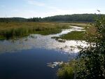 Culvert Crossing, Folsom Brook at Dixmont Road, Monroe, Maine