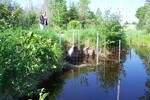 Culvert Crossing, Forbes Brook at Marshall Road, Bradford, Maine