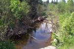 Culvert Crossing, Forbes Stream at Reeves Road, Bradford, Maine