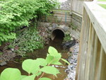 Culvert Crossing, Fore River at Holm Ave, Portland, Maine